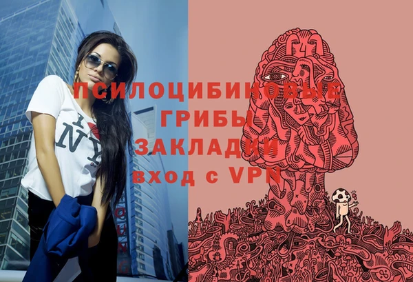 spice Абаза