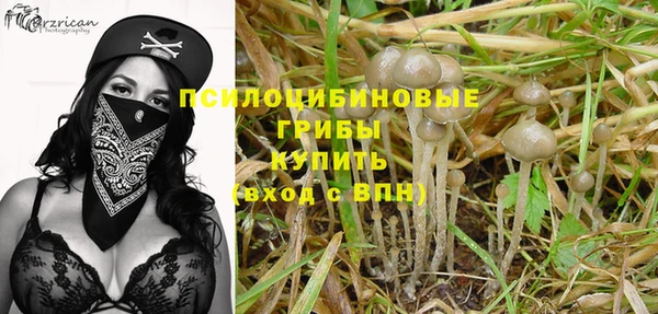 гашик Абдулино